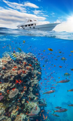 Korallenrifflandschaft und Schiff