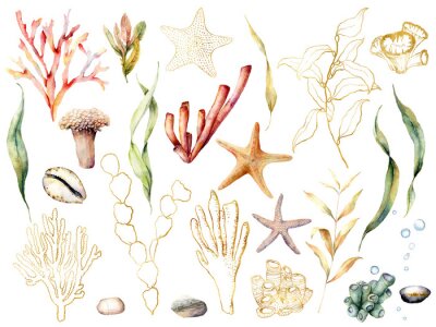 Korallenriffpflanzen im Boho-Stil