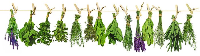 Sticker Kräuter, kräuter ...