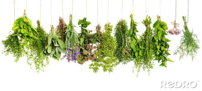 Sticker Kräuter und Gewürze zum Trocknen