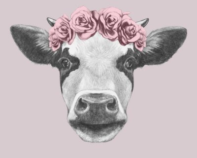 Kuh mit Blumenkranz auf rosa Hintergrund