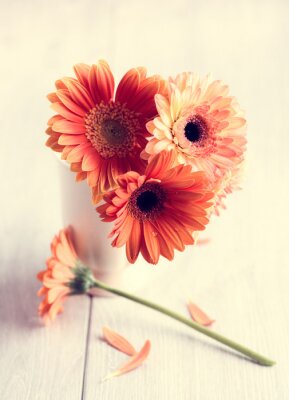 Sticker Lachsfarbene Blüten auf dem Holz