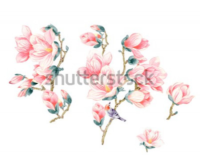 Sticker Lachsfarbene Magnolien mit Vogel