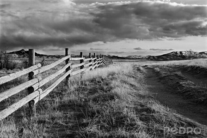 Sticker Ländliche Natur schwarz-weiß