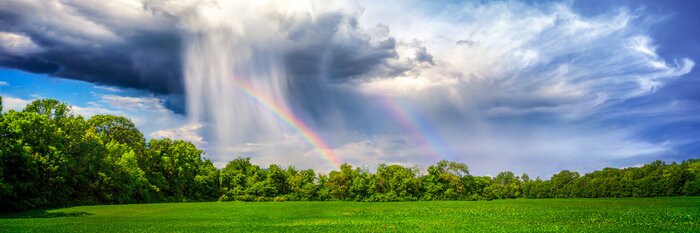 Sticker Landschaft mit Bäumen und Regenbogen