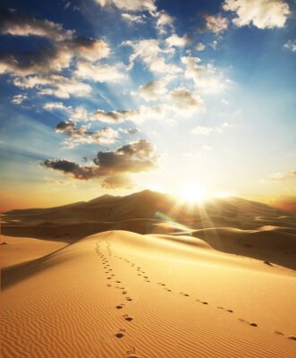 Landschaft mit Spuren in der Wüste