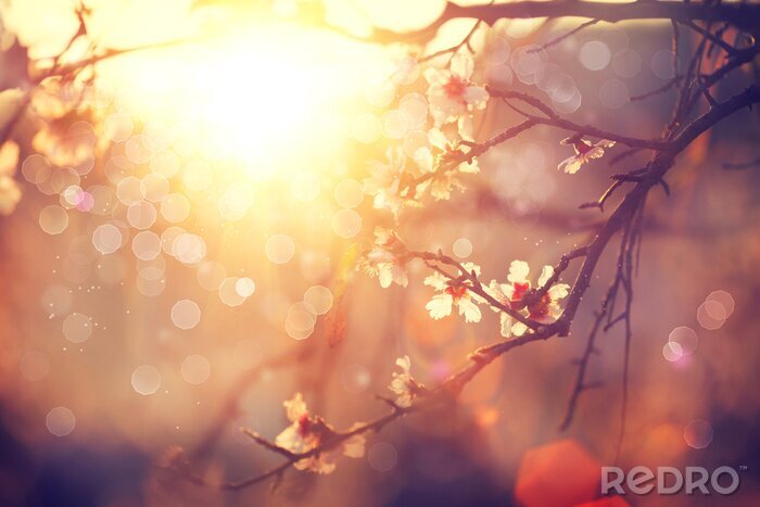 Sticker Landschaft mit untergehender Sonne