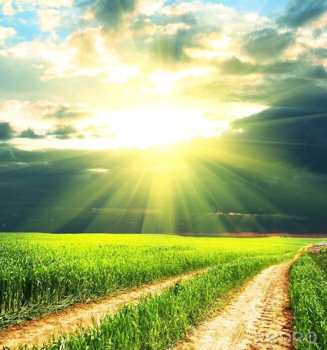 Sticker Landweg in der Sonne