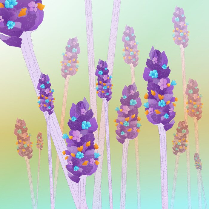 Sticker Lavendel auf einer bunten Illustration