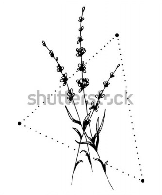 Sticker Lavendel auf einer geometrischen Zeichnung