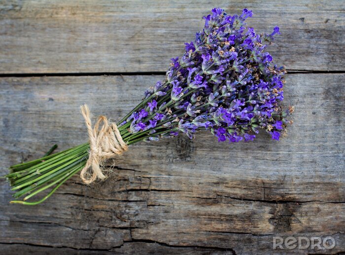 Sticker Lavendel auf Holz mit Schnur gebunden