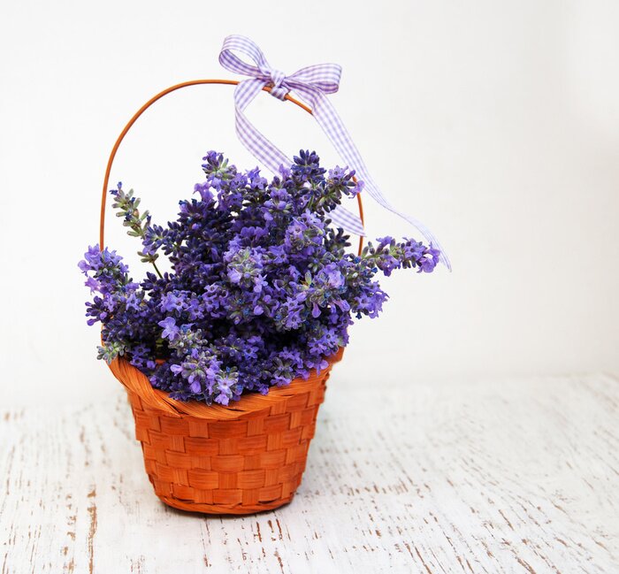 Sticker Lavendel in einem Weidenkorb