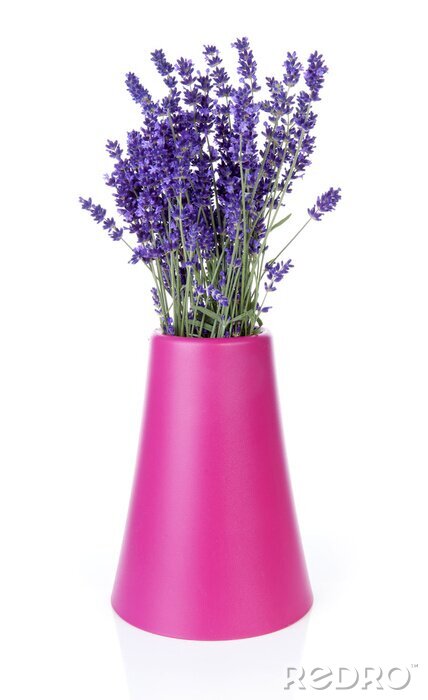 Sticker Lavendel in einer rosa Vase