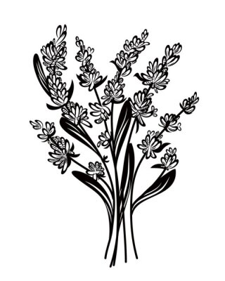 Sticker Lavendelblüte auf einer Grafik