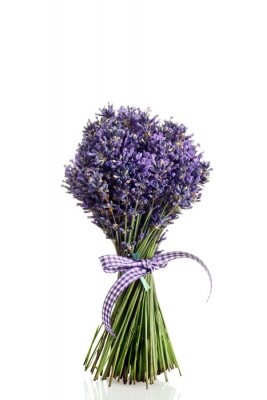 Sticker Lavendelblüte in einem großen Strauß