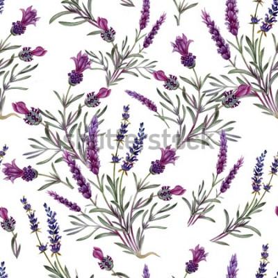 Sticker Lavendelmuster auf weißem Hintergrund