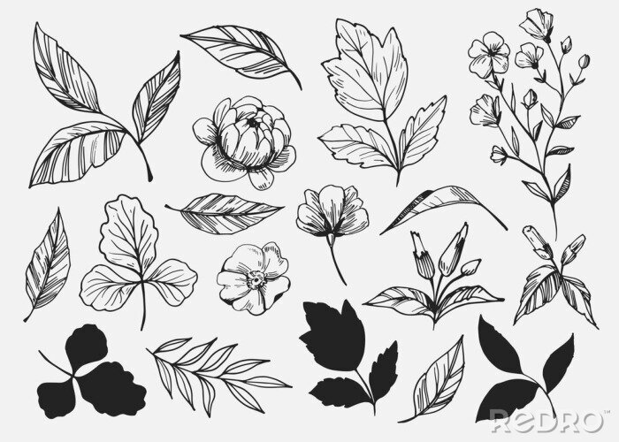 Sticker Leaves set. Hand drawn decorative elements. Vector illustration