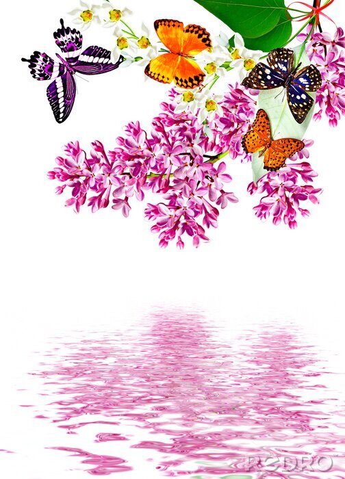 Sticker lila Blüten