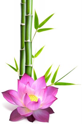 Sticker Lotusblüte und Bambus