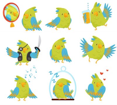Sticker Lustige Vögel für Kinder