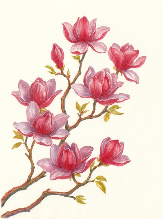 Sticker Magnolie auf dem Laubbaum