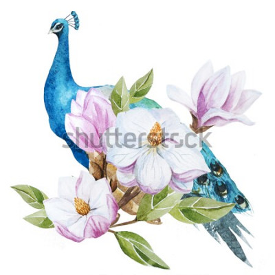 Sticker Magnolienzweig und Pfau
