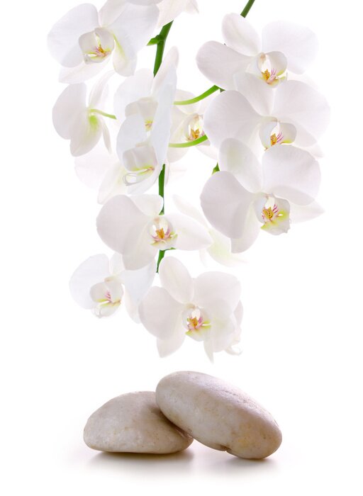 Sticker Massage Stones with Orchid.