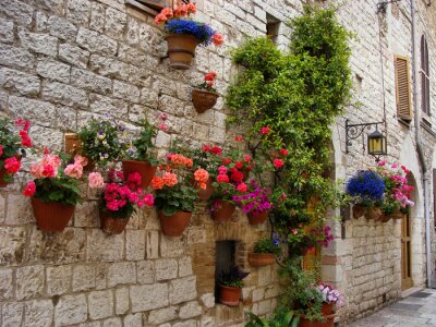 Mauer mit farbenreichen Blumen