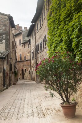 Menschenleere Gasse mit Efeu