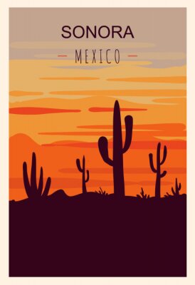 Mexikanische Wüste im Bild