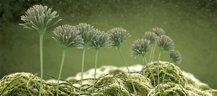 Sticker Mikroskopische Aufnahme im 3D-Konzept