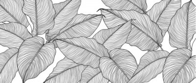 Minimalistische Blätter auf weißem Hintergrund