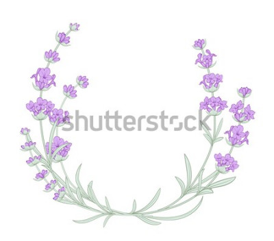 Sticker Minimalistische Komposition mit Lavendel