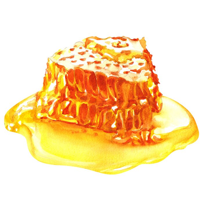 Sticker Mit Aquarell gemalte Honigwabe