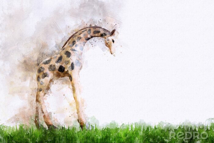 Sticker Mit Aquarellfarbe gemalte Giraffe