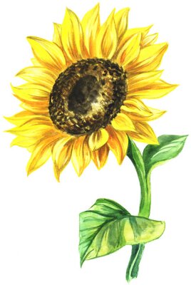 Sticker Mit Farben bemalte Sonnenblume