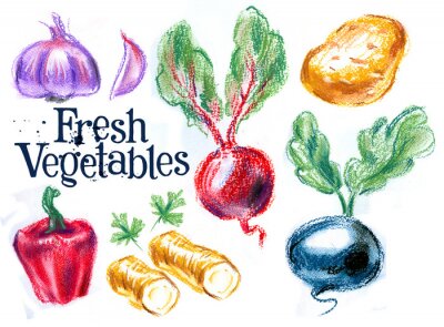 Sticker Mit Pastellkreiden gemaltes Gemüse