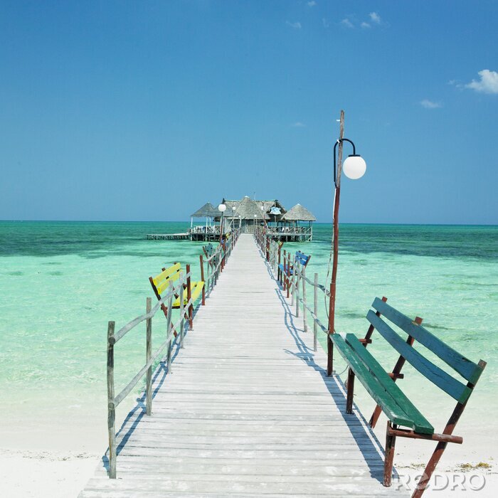 Sticker Mole am grünen Meer