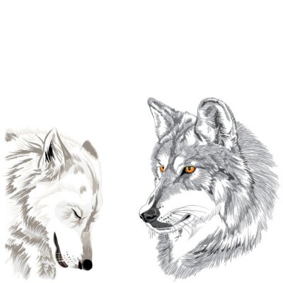 Monochrome Darstellung von Wölfen
