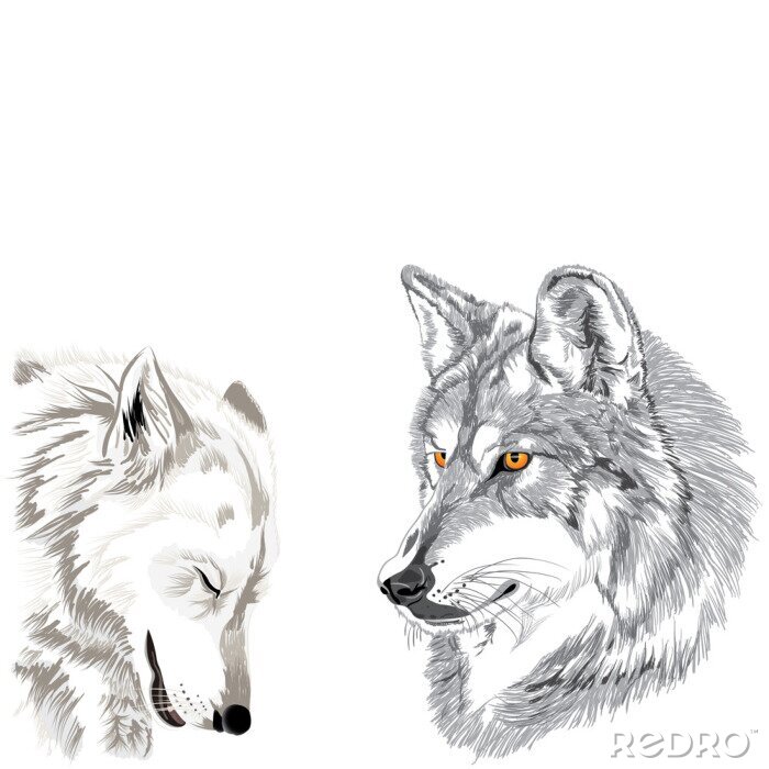 Sticker Monochrome Darstellung von Wölfen