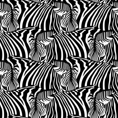 Monochrome Zebras in der Herde