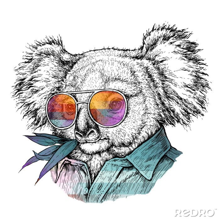 Sticker Monochromer Koala mit Regenbogenbrille