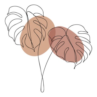 Sticker Monstera boho line art