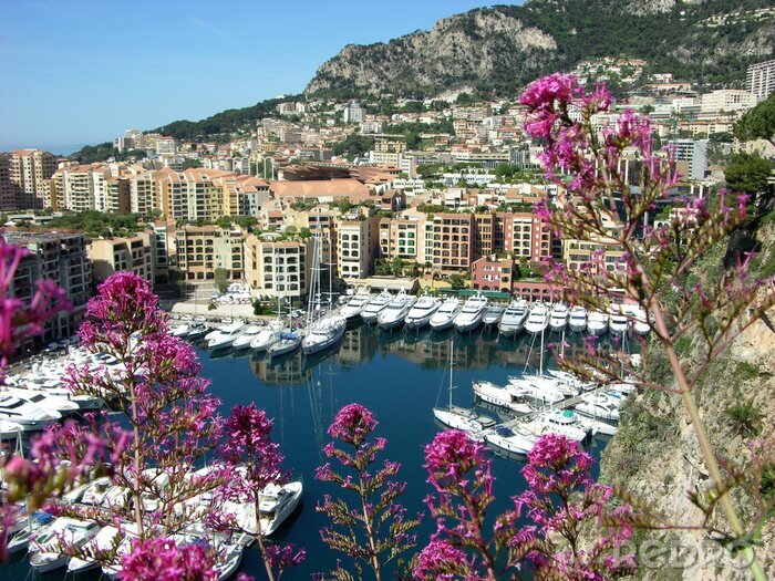 Sticker Monte-Carlo-Landschaft