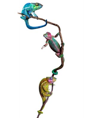 Sticker Nach oben nach