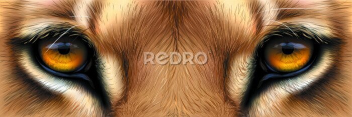 Sticker Nahaufnahme der Augen eines Löwen