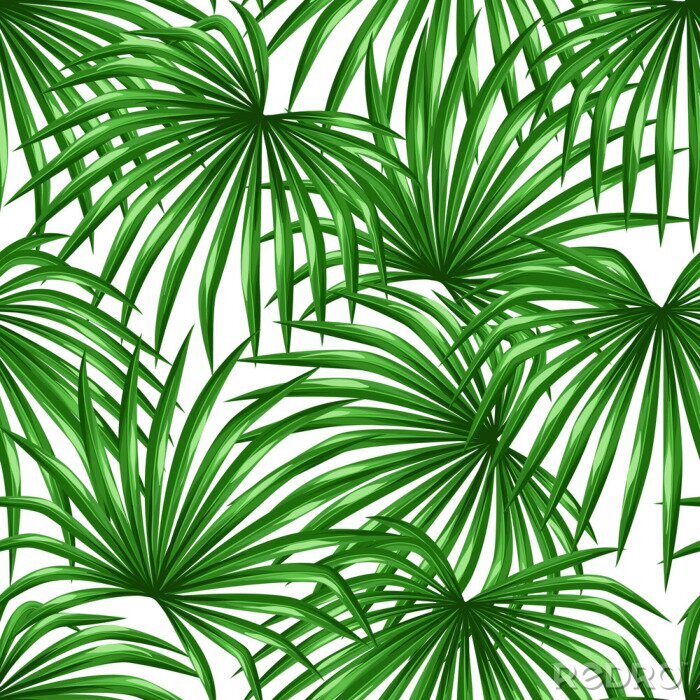 Sticker Nahtlose Muster mit Palmenblättern. Dekorative Bild tropische Blatt der Palme Livistona Rotundifolia. Hintergrund ohne Schnittmaske gemacht. Einfach zu bedienen für Kulisse, Textil, Geschenkpapier
