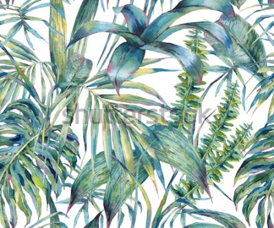 Sticker Nahtloses Muster der natürlichen Blätter exotisches Aquarell, grüne tropische Blätter, Farn, dichter Dschungel, handgemalte botanische Sommerillustration auf weißem Hintergrund