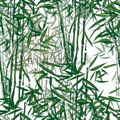 Sticker Nahtloses Muster des tropischen Bambusvektors auf einem weißen Hintergrund.