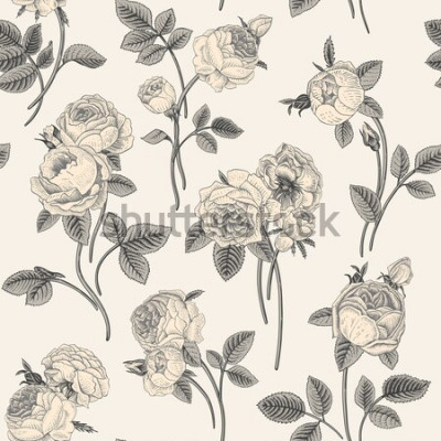 Sticker Nahtloses Muster des Weinlesevektors mit Blumensträußen der Blumen, die Garten viktorianische Rosen blühen. Graue weiße Blumen mit grauen Blättern auf hellgrauem Hintergrund. Klassisch